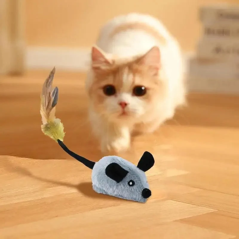 Interactive Mouse Toy